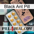 Black Ant Pill 41